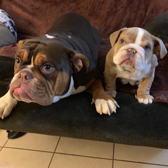 Meet your Posher, Brian - Picture 1 of 1